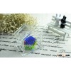 Fashion Gifts For Mom 100% Natural Preserved Flower In Crystal Glass