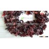 Sudanian hibiscus flower manufacturer