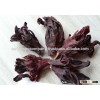 DRIED HIBISCUS FLOWER