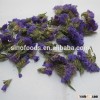 dried flowers tea health Forget-me-not flower