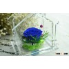 High Quality Preserving Rose Flowers In House-box Wholesale For Gift