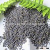 dried flower lavender buy wholesale dry lavender