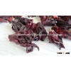 FDA Hibiscus flower