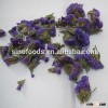 Myosotis sylvatica purple flower tea