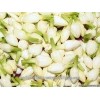 Fresh Jasmine Flower