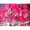 Fresh Indian Roses/Valentine Roses/Bulk Roses!
