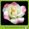 Reasonable price factory direct fresh cut flower eustoma from yunna
