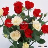 High Quality Hot Sale Natural Indian Rose Flower