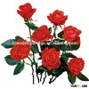 fresh cut flowers,red rose Natural rose