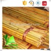 High Quality Garden Green Bamboo Poles/Canes/Stakes/Stick