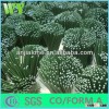 Wy-C098 Round flower bamboo stick with point