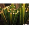 Vietnam straight and cheap price bamboo