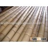 Natural high quality bamboo poles for sale