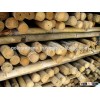 Bamboo raw materials - Natural Tam Vong bamboo pole solid / Cane - Dry bamboo Decor, Builders &