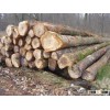 Sawn timber, Teakwood, Siamese Rosewood & Rubber woods..