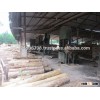 Viet Nam acacia logs best price! best quality! for construction and furniture.