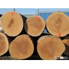Quality Timber Logs / Excellent Range of Timber Logs
