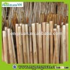 Smooth Varnished Eucalyptus Wood Logs