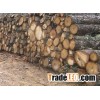 Densified wood logs / fire logs / heat logs
