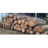 Oak Round Logs