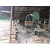 Vietnam Acacia wood logs
