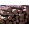 Timber logs (Zingana, bubing, wengue, tali, teak, sapele, iroko, padouk, ekoume, okan, ebony, azobe,