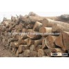 Acacia round wood logs with discount Price