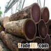 Hardwood Round Logs