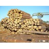 Pine logs