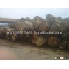 Malaysia Logs