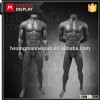 Wholesale Full Body Muscle Male Strong Mannequins