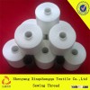 Spun Polyester Sewing Thread/TFO Quality/100% Yizheng Fibre