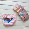 2014 kids Organic Cotton cartoon underwear