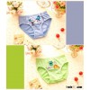 2016 Hot Sale cartoon briefs ,Kids Underwear, girl's brief underwear