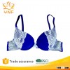 Underwear wholesale blue color sexy bra underwear sexy beautiful bra sexy bra design