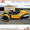 ZTR Trike Roadster 250cc or 500cc bigger engine latest 2015 Automatic or Manual Gears roof available