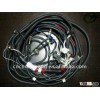 Automobile wire harness connector lamp controller used
