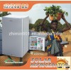 single door 90L dc 12V/24V compressor solar refrigerator freezer fridge popular in Africa