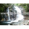 Land tours in Hoian, Danang, Hue, DMZ