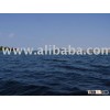 Apartments to Rent in Croatia - Adria
