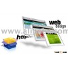 Software Developer