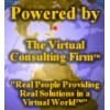 Social Networking Consulting Services