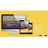 Website Design & development Experts