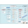 GMP Quality Management System - Policy Statement