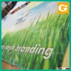 Best Graphic Design