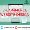 Professional E-Commerce Website Design