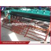 light Hexagonal Wire Netting machine for sale