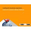 E commerce Website Design with Attractive Template