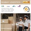Professtional customs clearance service agent