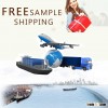 Professional freight forwarder China to USA